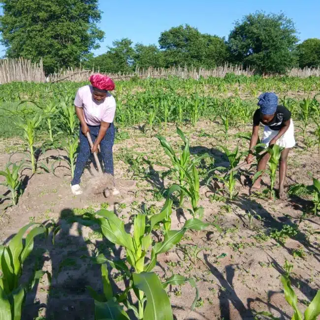 Purpose Project Image 4